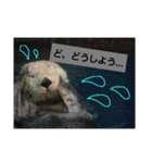 水族館な仲間達（個別スタンプ：3）