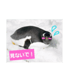 水族館な仲間達（個別スタンプ：5）
