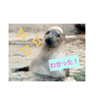 水族館な仲間達（個別スタンプ：6）
