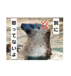 水族館な仲間達（個別スタンプ：7）