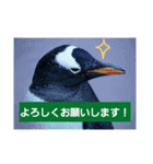 水族館な仲間達（個別スタンプ：8）