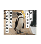 水族館な仲間達（個別スタンプ：9）