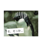 水族館な仲間達（個別スタンプ：11）