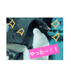 水族館な仲間達（個別スタンプ：12）