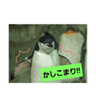 水族館な仲間達（個別スタンプ：16）