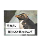 水族館な仲間達（個別スタンプ：18）