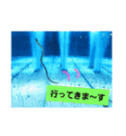 水族館な仲間達（個別スタンプ：19）