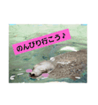 水族館な仲間達（個別スタンプ：21）