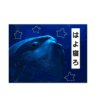 水族館な仲間達（個別スタンプ：22）