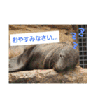 水族館な仲間達（個別スタンプ：23）