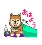 ☆柴犬リクのスタンプ パート2☆（個別スタンプ：1）