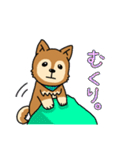 ☆柴犬リクのスタンプ パート2☆（個別スタンプ：4）