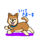 ☆柴犬リクのスタンプ パート2☆（個別スタンプ：5）