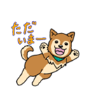 ☆柴犬リクのスタンプ パート2☆（個別スタンプ：7）