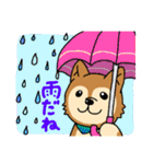 ☆柴犬リクのスタンプ パート2☆（個別スタンプ：10）