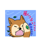 ☆柴犬リクのスタンプ パート2☆（個別スタンプ：11）