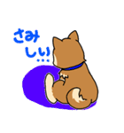 ☆柴犬リクのスタンプ パート2☆（個別スタンプ：13）
