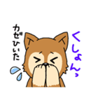 ☆柴犬リクのスタンプ パート2☆（個別スタンプ：15）