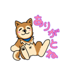 ☆柴犬リクのスタンプ パート2☆（個別スタンプ：18）