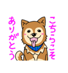☆柴犬リクのスタンプ パート2☆（個別スタンプ：19）