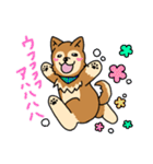 ☆柴犬リクのスタンプ パート2☆（個別スタンプ：20）