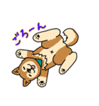 ☆柴犬リクのスタンプ パート2☆（個別スタンプ：24）