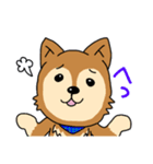 ☆柴犬リクのスタンプ パート2☆（個別スタンプ：25）