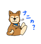 ☆柴犬リクのスタンプ パート2☆（個別スタンプ：26）