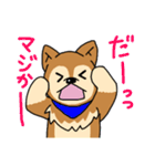 ☆柴犬リクのスタンプ パート2☆（個別スタンプ：29）