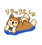 ☆柴犬リクのスタンプ パート2☆（個別スタンプ：39）