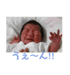 一徹くん 1（個別スタンプ：17）