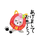 チワプーふくたん（個別スタンプ：26）