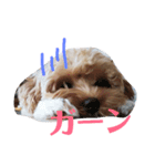 マルプー メルちゃん（個別スタンプ：2）