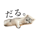 ねこのきもち。。。（個別スタンプ：14）