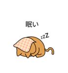 柴猫（個別スタンプ：20）