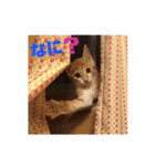 ＊もなかのスタンプ＊（個別スタンプ：24）