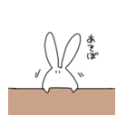 あなうさぎスタンプ（個別スタンプ：31）