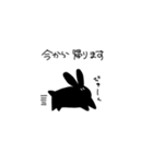 あなうさぎスタンプ（個別スタンプ：39）