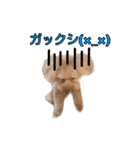 愛犬ココ（トイプードル）（個別スタンプ：5）