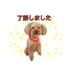 愛犬ココ（トイプードル）（個別スタンプ：12）