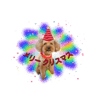 愛犬ココ（トイプードル）（個別スタンプ：15）