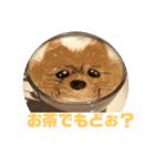 ポメッツのちゃぽ2（個別スタンプ：20）