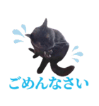 くろねこ くっく（個別スタンプ：3）