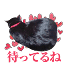 くろねこ くっく（個別スタンプ：4）