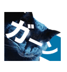 くろねこ くっく（個別スタンプ：13）