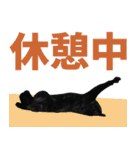 くろねこ くっく（個別スタンプ：21）