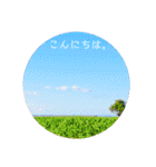 お空です。（個別スタンプ：2）