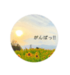 お空です。（個別スタンプ：13）