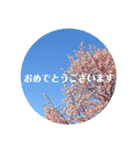 お空です。（個別スタンプ：22）