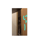 にゃんこ哲太2（個別スタンプ：11）